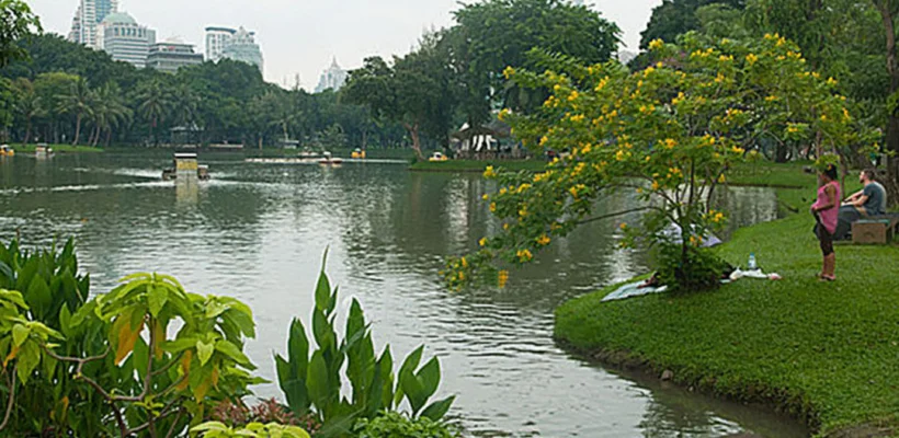 p-lum1_54_990x660_201406012151